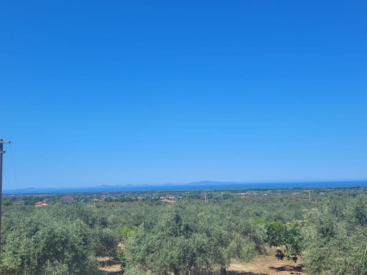 Villa Maddalena Guest House 소르소 외부 사진